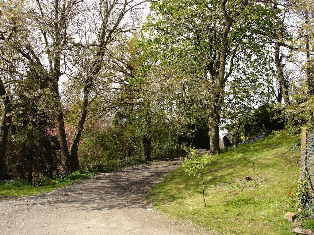 Les Vallees Du Guyoult Dol-de-Bretagne Ngoại thất bức ảnh